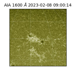 saia - 2023-02-08T09:00:14.120000