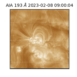 saia - 2023-02-08T09:00:04.840000