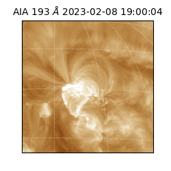 saia - 2023-02-08T19:00:04.840000