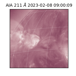 saia - 2023-02-08T09:00:09.630000
