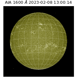 saia - 2023-02-08T13:00:14.130000