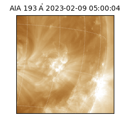 saia - 2023-02-09T05:00:04.843000