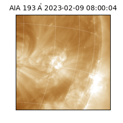 saia - 2023-02-09T08:00:04.843000