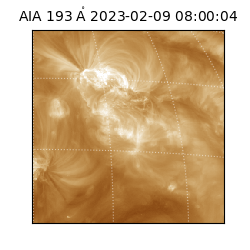 saia - 2023-02-09T08:00:04.843000
