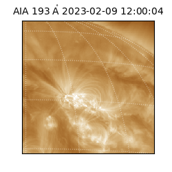 saia - 2023-02-09T12:00:04.843000
