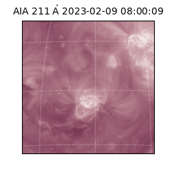 saia - 2023-02-09T08:00:09.632000