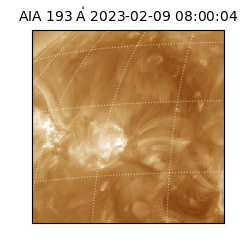 saia - 2023-02-09T08:00:04.843000