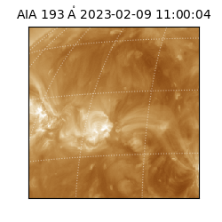 saia - 2023-02-09T11:00:04.843000