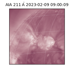saia - 2023-02-09T09:00:09.622000