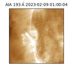 saia - 2023-02-09T01:00:04.847000