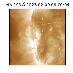 saia - 2023-02-09T08:00:04.843000