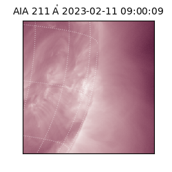 saia - 2023-02-11T09:00:09.626000