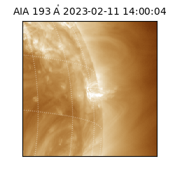 saia - 2023-02-11T14:00:04.843000