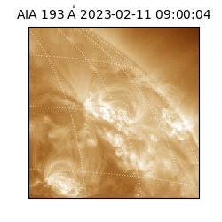 saia - 2023-02-11T09:00:04.843000