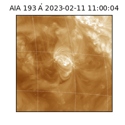 saia - 2023-02-11T11:00:04.843000