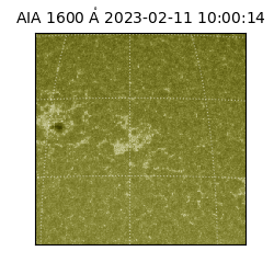 saia - 2023-02-11T10:00:14.130000