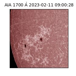 saia - 2023-02-11T09:00:28.746000