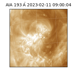 saia - 2023-02-11T09:00:04.843000