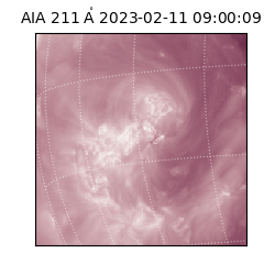 saia - 2023-02-11T09:00:09.626000