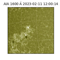 saia - 2023-02-11T12:00:14.132000