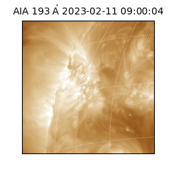 saia - 2023-02-11T09:00:04.843000