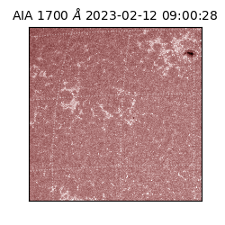 saia - 2023-02-12T09:00:28.740000