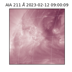 saia - 2023-02-12T09:00:09.630000