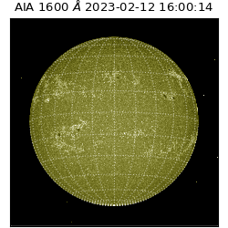 saia - 2023-02-12T16:00:14.130000
