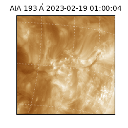 saia - 2023-02-19T01:00:04.843000