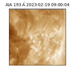saia - 2023-02-19T09:00:04.846000