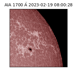 saia - 2023-02-19T08:00:28.745000