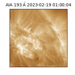 saia - 2023-02-19T01:00:04.843000