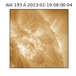 saia - 2023-02-19T08:00:04.846000