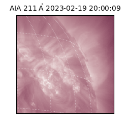 saia - 2023-02-19T20:00:09.618000