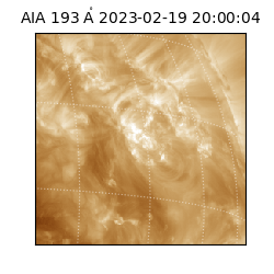 saia - 2023-02-19T20:00:04.835000
