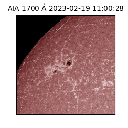 saia - 2023-02-19T11:00:28.746000