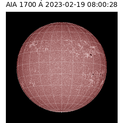 saia - 2023-02-19T08:00:28.745000