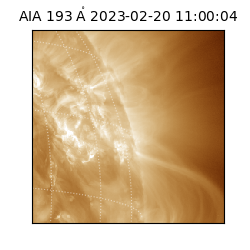 saia - 2023-02-20T11:00:04.843000