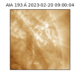 saia - 2023-02-20T09:00:04.843000
