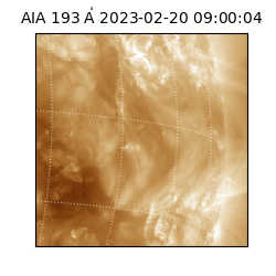 saia - 2023-02-20T09:00:04.843000