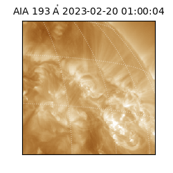 saia - 2023-02-20T01:00:04.842000