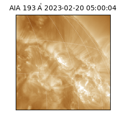 saia - 2023-02-20T05:00:04.843000