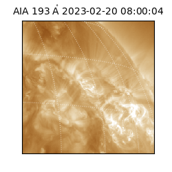 saia - 2023-02-20T08:00:04.843000