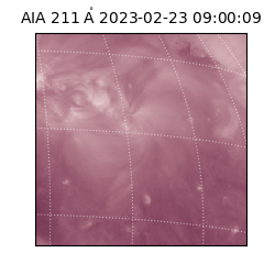 saia - 2023-02-23T09:00:09.626000