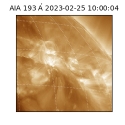 saia - 2023-02-25T10:00:04.842000