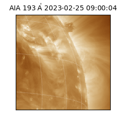 saia - 2023-02-25T09:00:04.843000