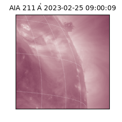 saia - 2023-02-25T09:00:09.626000