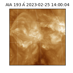 saia - 2023-02-25T14:00:04.843000