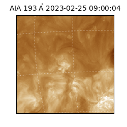 saia - 2023-02-25T09:00:04.843000