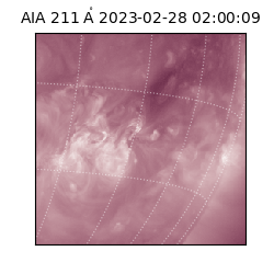 saia - 2023-02-28T02:00:09.632000